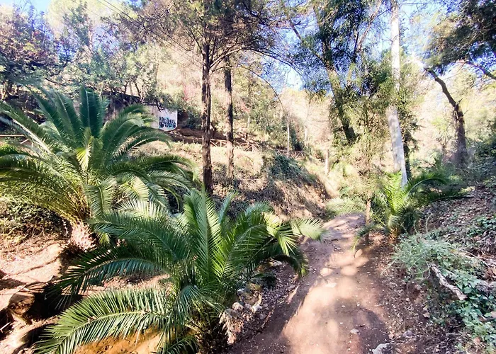 Apartment El Sol Maritimo Torreblanca *