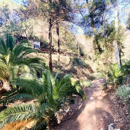 شقة El Sol Maritimo Torreblanca *